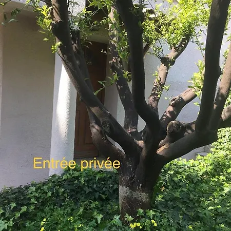 La Nectarine