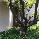 La Nectarine