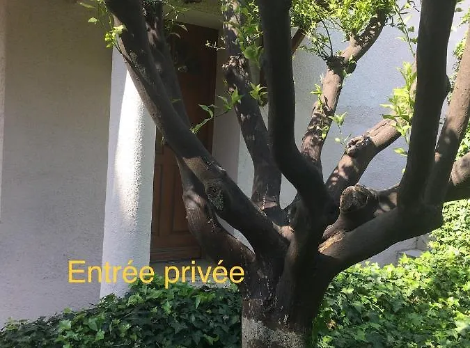 La Nectarine